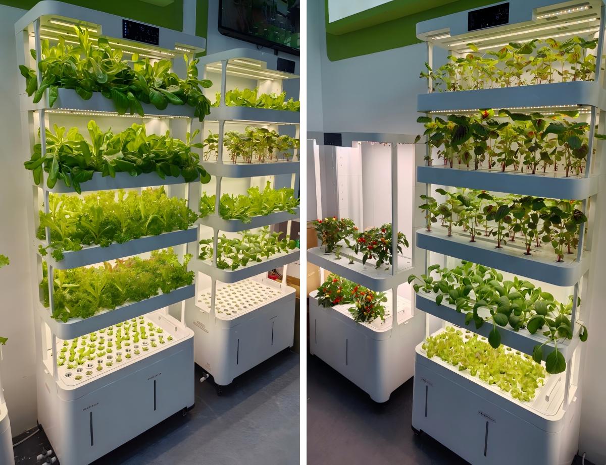 Smart Indoor Hydroponic Planter.jpg