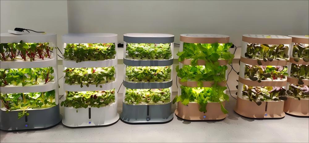 hydroponic vegetable garden system.jpg